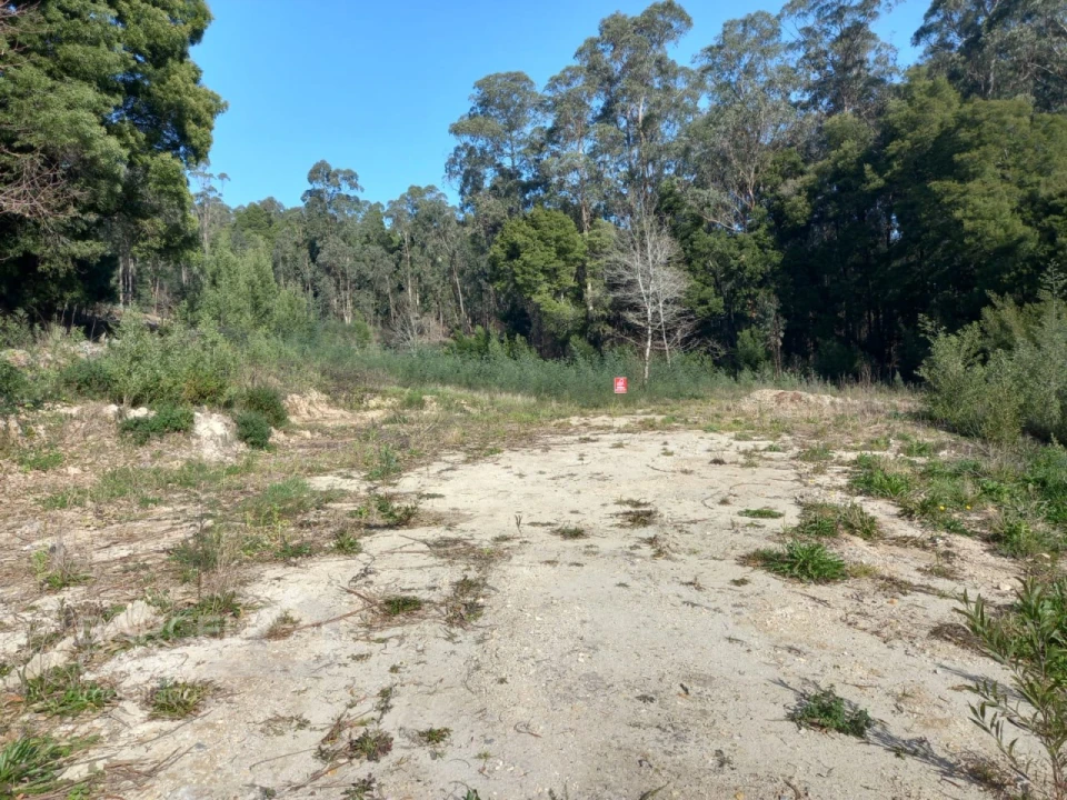 Terreno para Venda em Creixomil e Mariz Foto 15