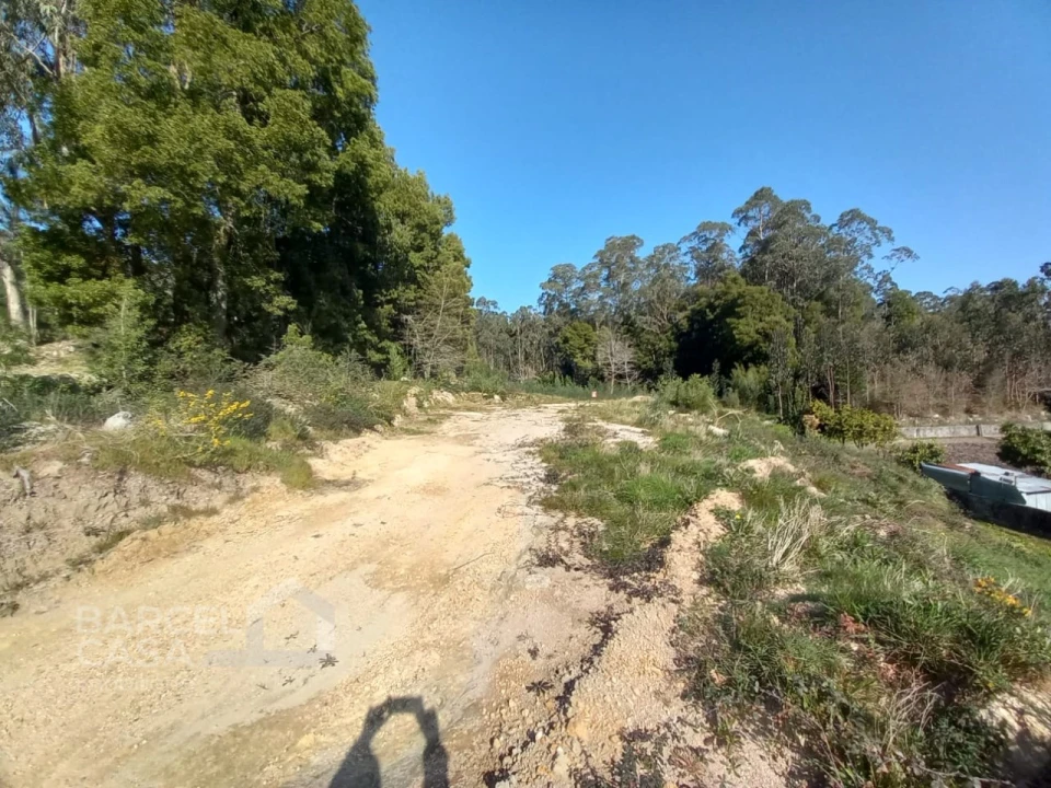 Terreno para Venda em Creixomil e Mariz Foto 5