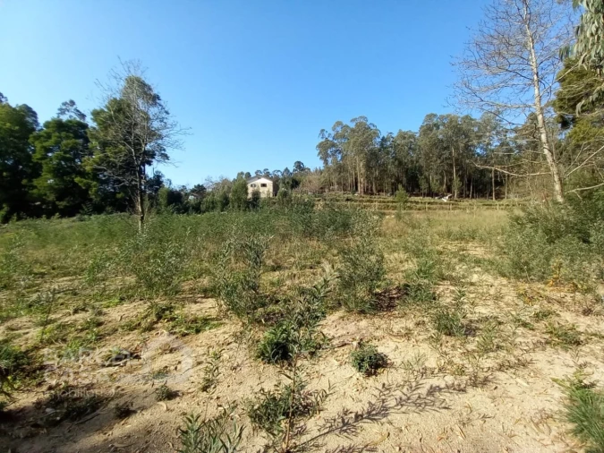 Terreno para Venda em Creixomil e Mariz Foto 10