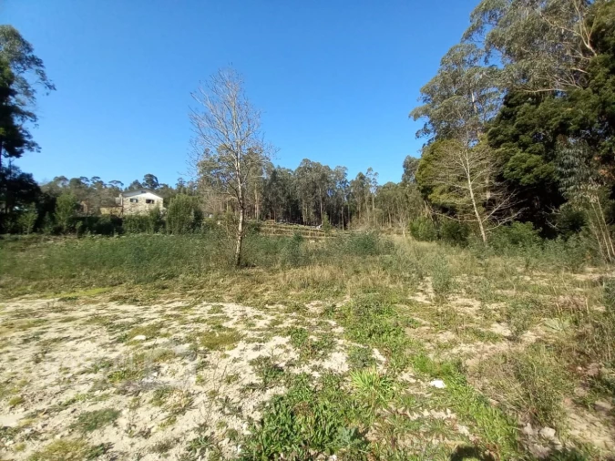 Terreno para Venda em Creixomil e Mariz Foto 12