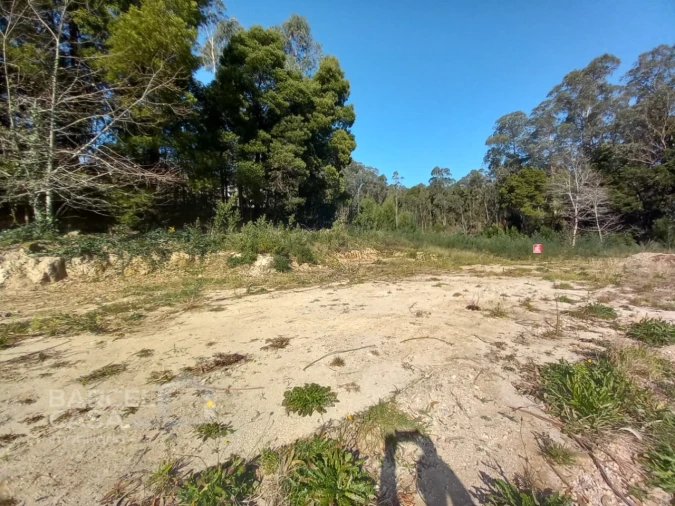 Terreno para Venda em Creixomil e Mariz Foto 13