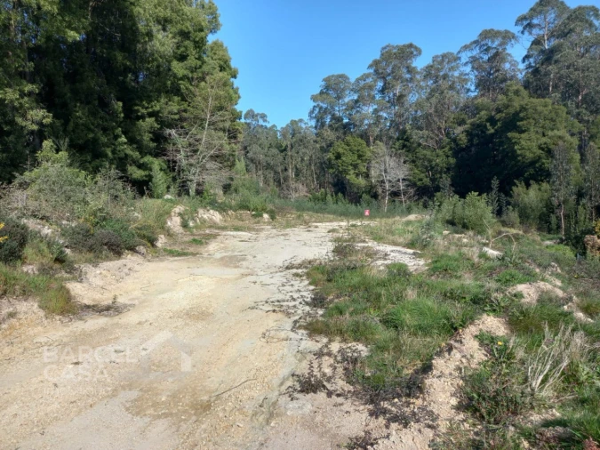 Terreno para Venda em Creixomil e Mariz Foto 4