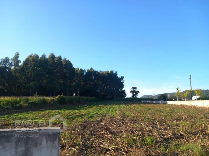 Terreno para Venda em Esposende, Marinhas e Gandra Foto 3