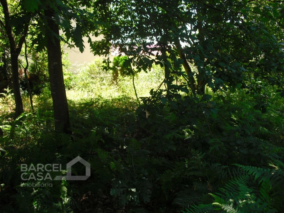 Terreno para Venda em Perelhal Foto 20