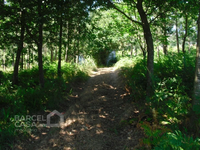 Terreno para Venda em Perelhal Foto 5