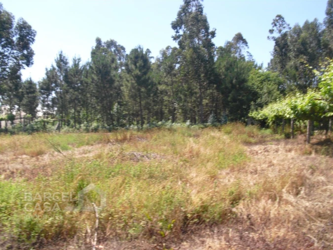 Terreno para Venda em Perelhal Foto 16
