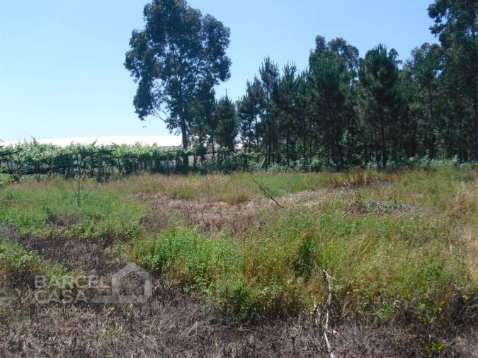 Terreno para Venda em Perelhal Foto 17