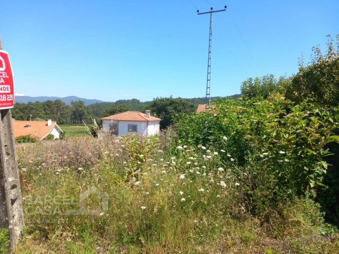 Terreno para Venda em Antas Foto 5