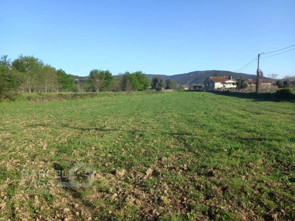 Terreno para Venda em Quintiães e Aguiar Foto 3