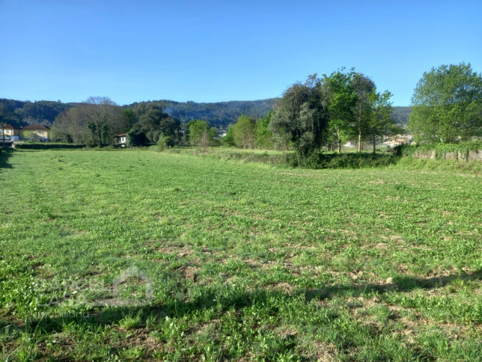 Terreno para Venda em Quintiães e Aguiar Foto 4
