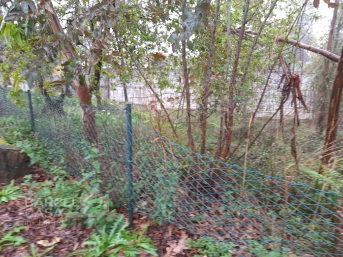 Terreno para Venda em Alvito (São Pedro e São Martinho) e Couto Foto 2