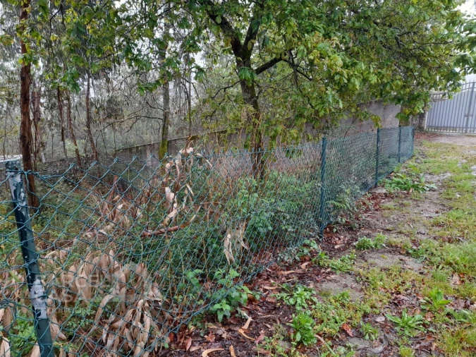 Terreno para Venda em Alvito (São Pedro e São Martinho) e Couto Foto 5