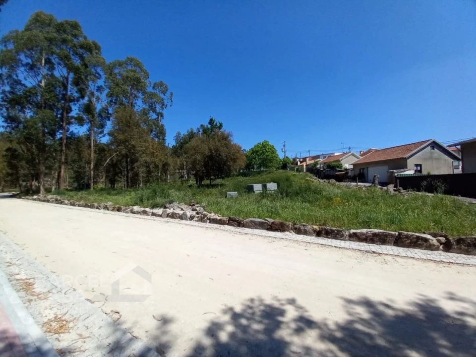 Terreno para Venda em Galegos (São Martinho) Foto 1