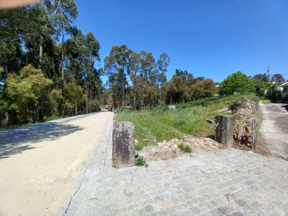 Terreno para Venda em Galegos (São Martinho) Foto 3