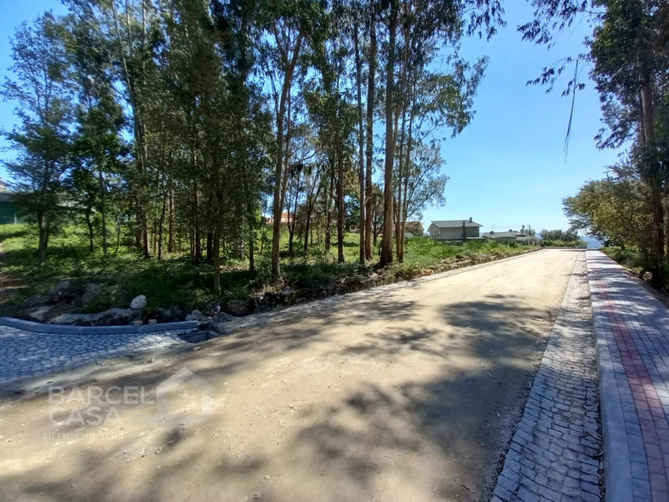 Terreno para Venda em Galegos (São Martinho) Foto 4