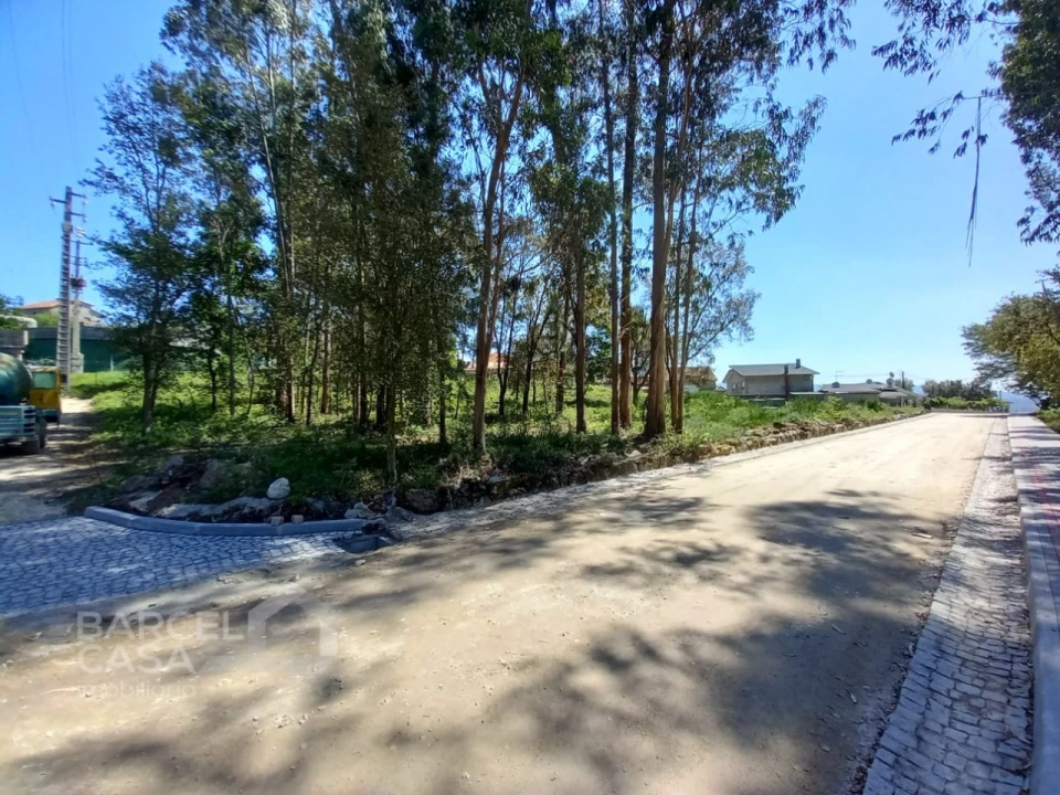 Terreno para Venda em Galegos (São Martinho) Foto 8