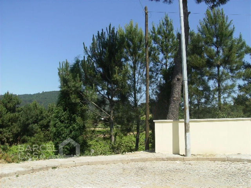 Terreno para Venda em Lama Foto 2