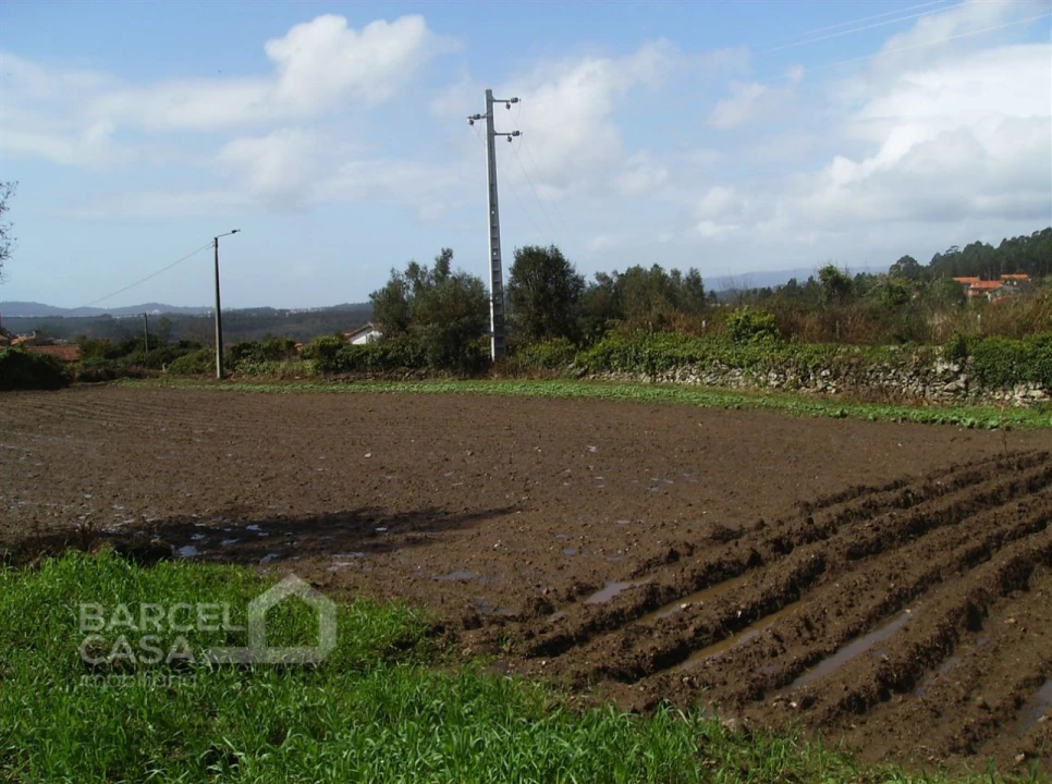 Terreno para Venda em Fragoso Foto 9