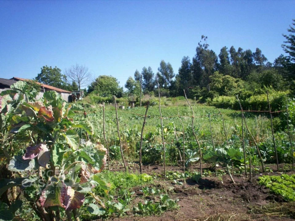 Terreno para Venda em Carvalhal Foto 4