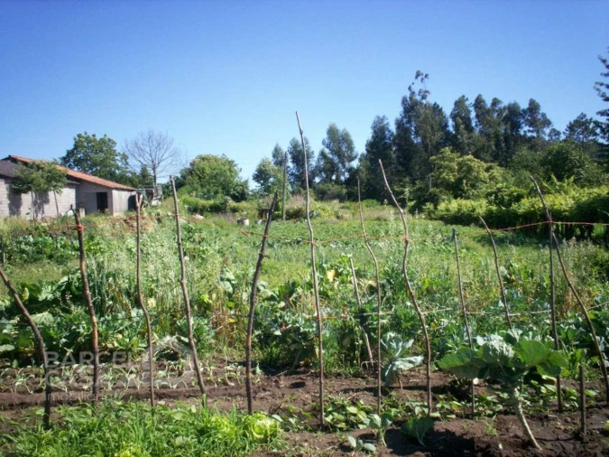 Terreno para Venda em Carvalhal