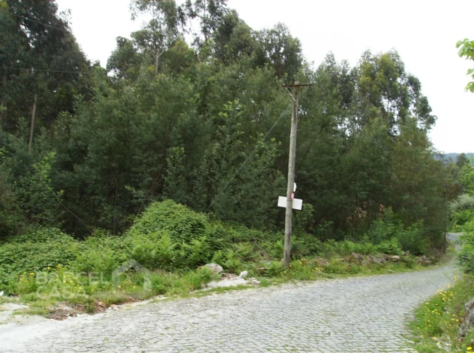 Terreno para Venda em Aldreu
