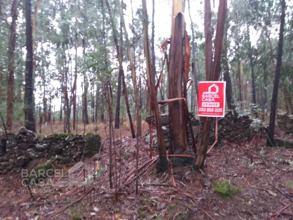 Terreno Agricola ou Rústico para Venda em Remelhe Foto 2
