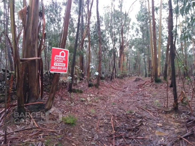 Terreno Agricola ou Rústico para Venda em Remelhe