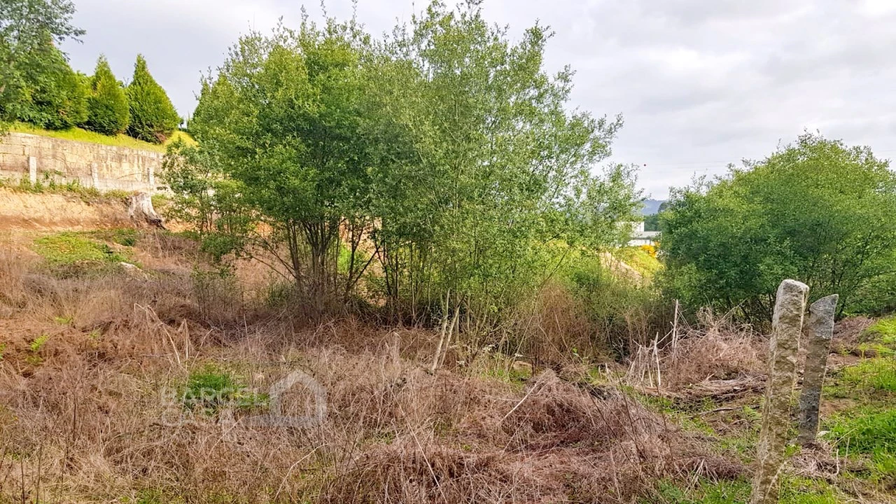 Terreno para Venda em Verdoejo Foto 13