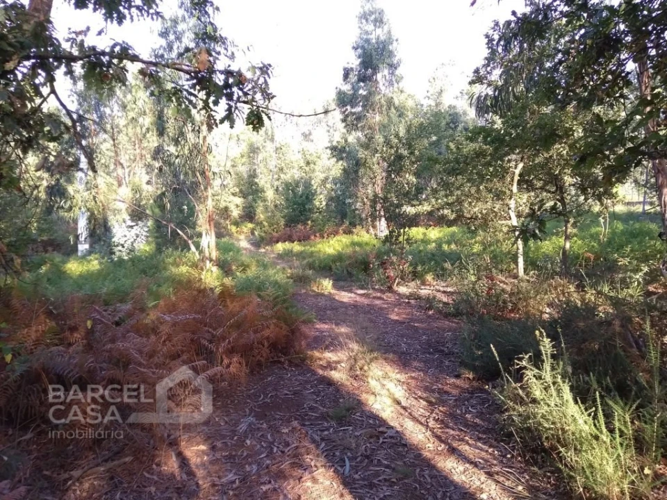 Terreno para Venda em Barcelos, V.Boa, V.Frescainha Foto 5