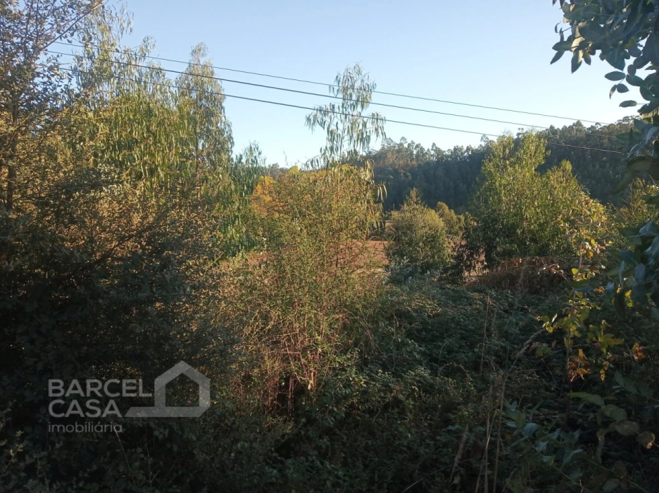 Terreno para Venda em Sequeade e Bastuço (São João e Santo Estêvão) Foto 3