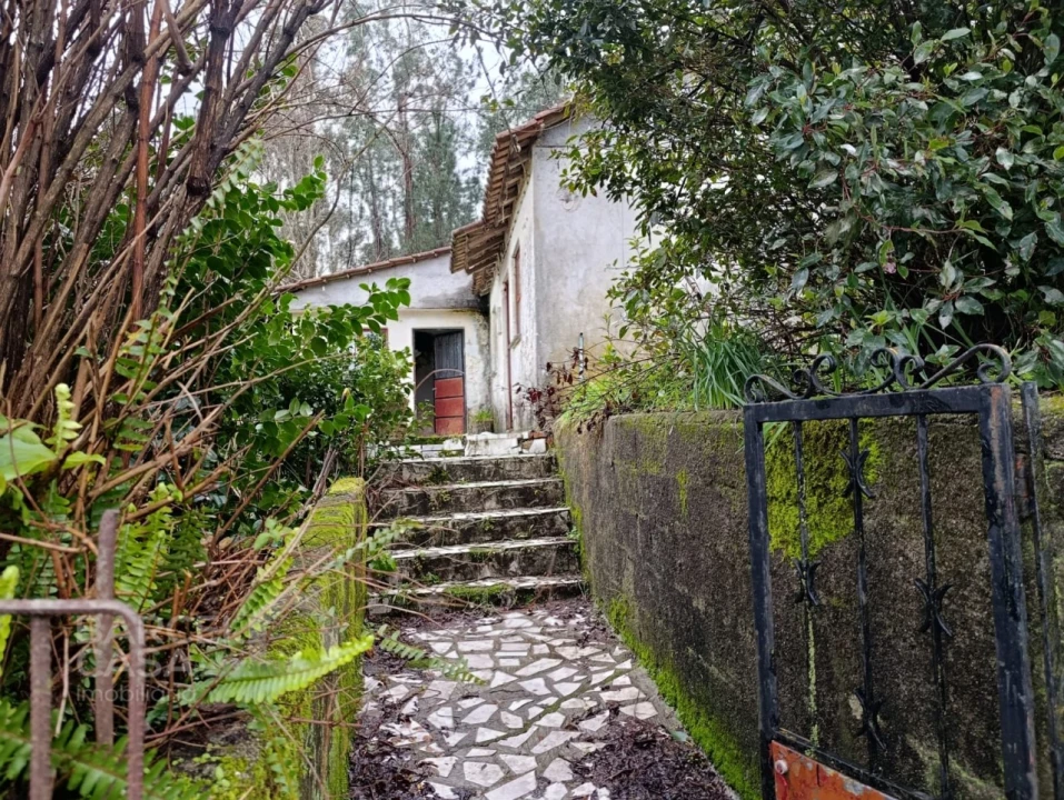 Moradia T3 para Venda em Alheira e Igreja Nova Foto 12