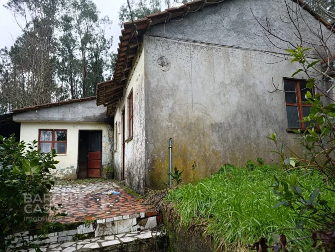 Moradia T3 para Venda em Alheira e Igreja Nova Foto 2