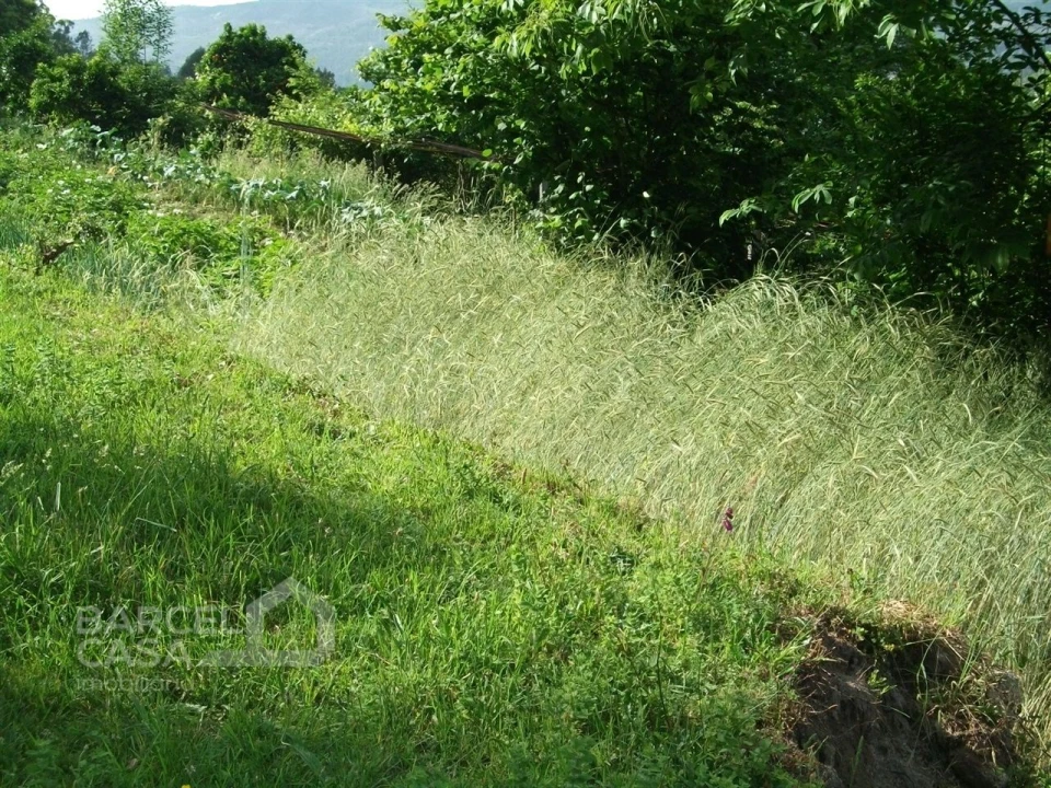 Terreno para Venda em Quintiães e Aguiar Foto 4