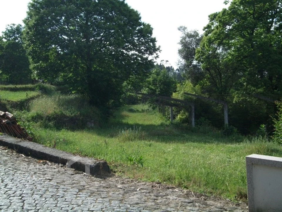 Terreno para Venda em Quintiães e Aguiar Foto 7