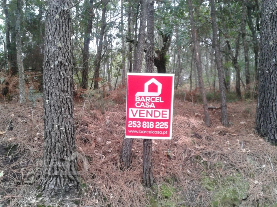 Terreno Agricola ou Rústico para Venda em Creixomil e Mariz Foto 3