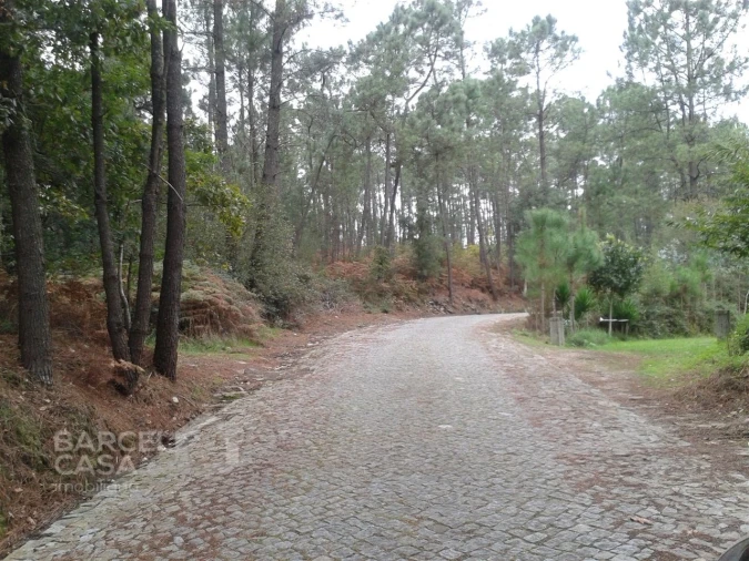 Terreno Agricola ou Rústico para Venda em Creixomil e Mariz