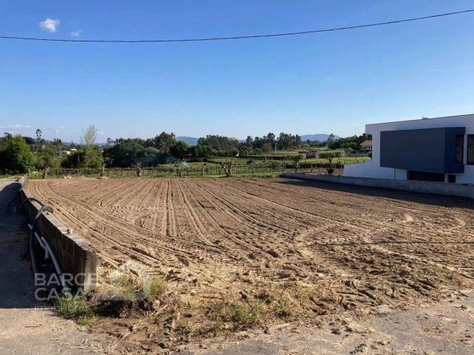 Terreno para Venda em Alvito (São Pedro e São Martinho) e Couto Foto 2