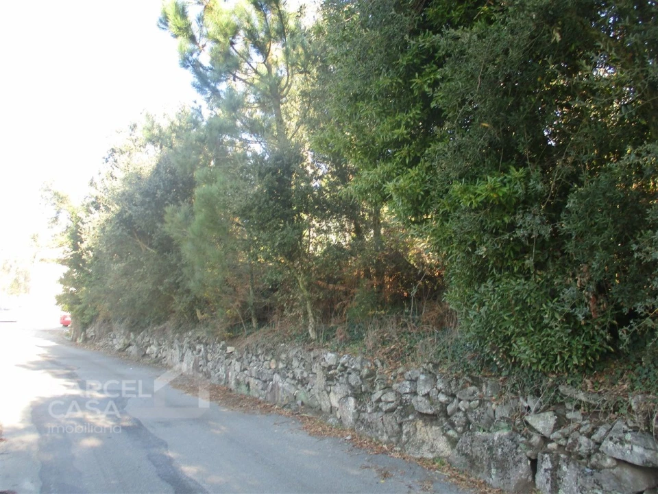 Terreno para Venda em Milhazes, Vilar de Figos e Faria Foto 2