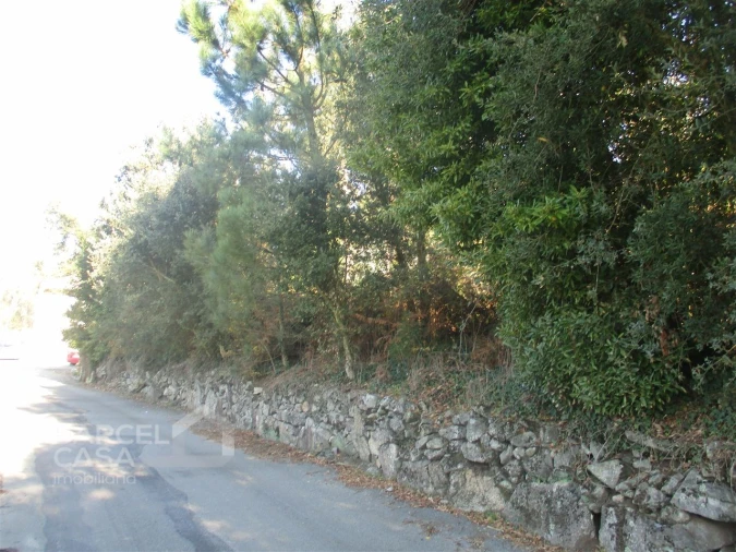 Terreno para Venda em Milhazes, Vilar de Figos e Faria Foto 2