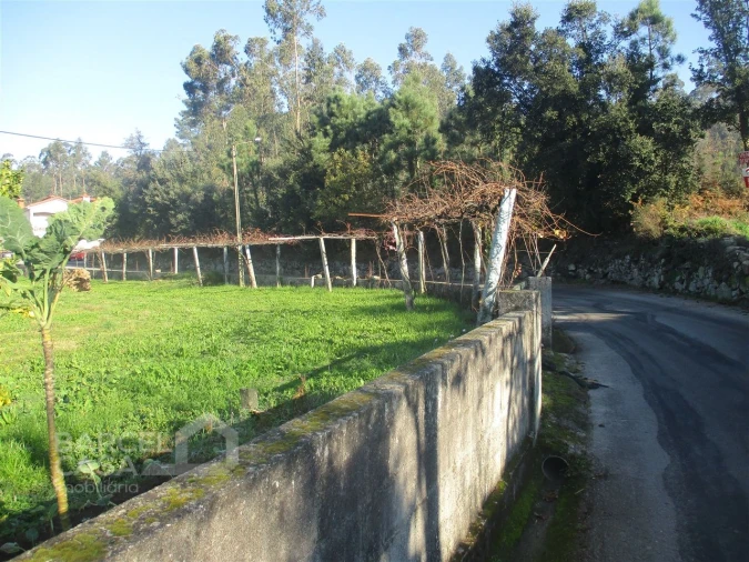 Terreno para Venda em Milhazes, Vilar de Figos e Faria Foto 3