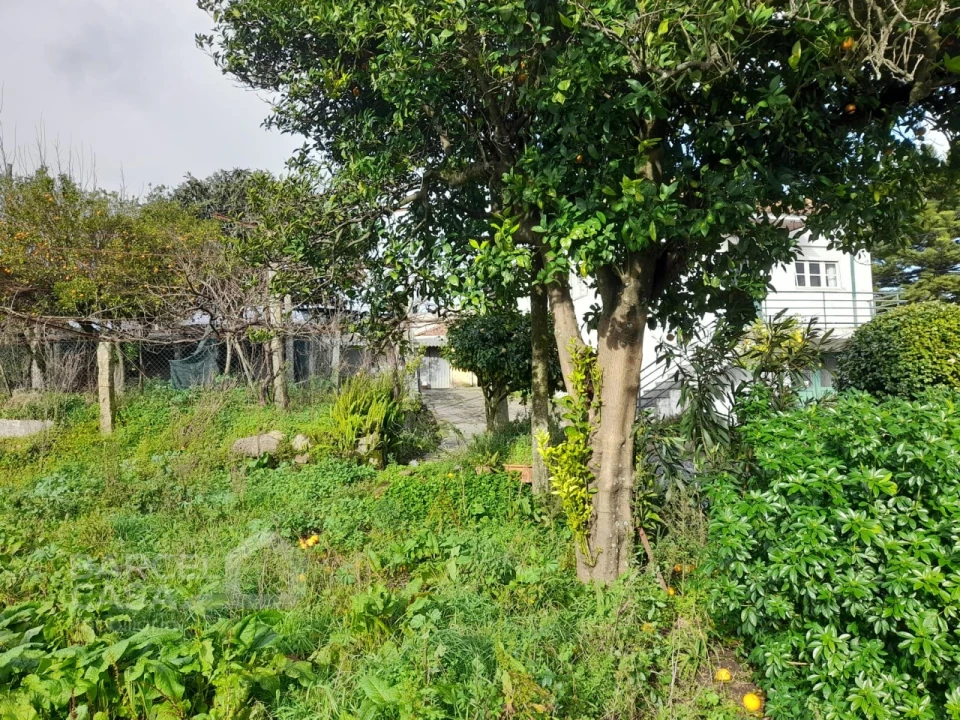 Moradia T4 para Venda em Galegos (São Martinho) Foto 14