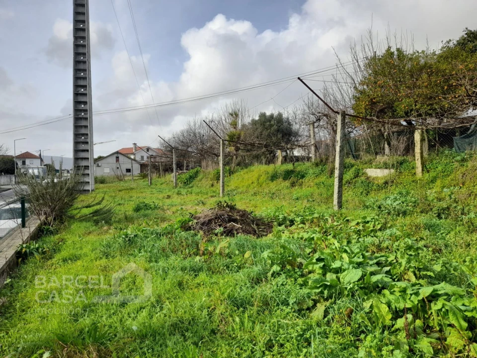 Moradia T4 para Venda em Galegos (São Martinho) Foto 15