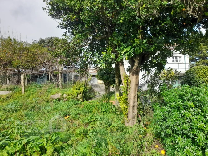 Moradia T4 para Venda em Galegos (São Martinho) Foto 14