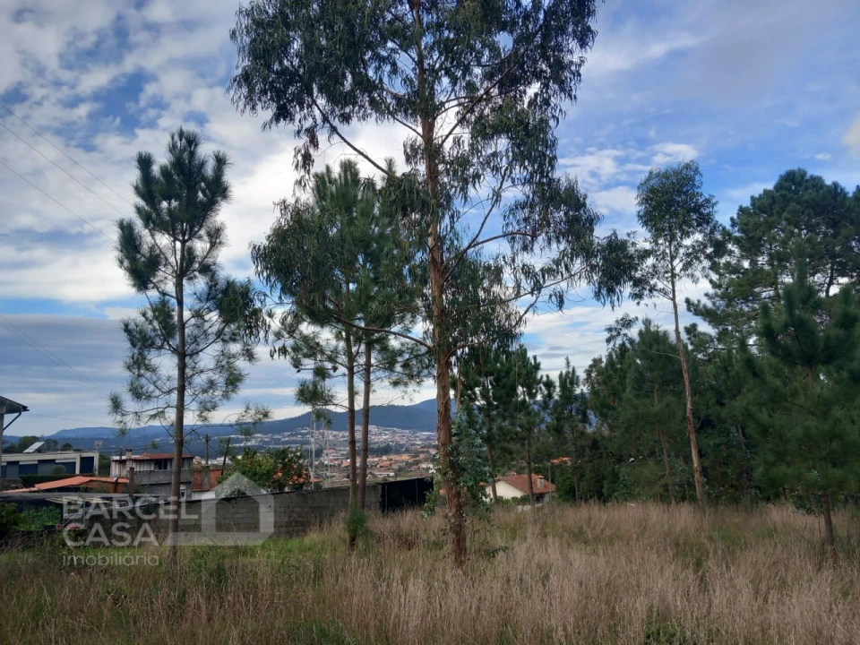 Terreno para Venda em Alvelos Foto 1