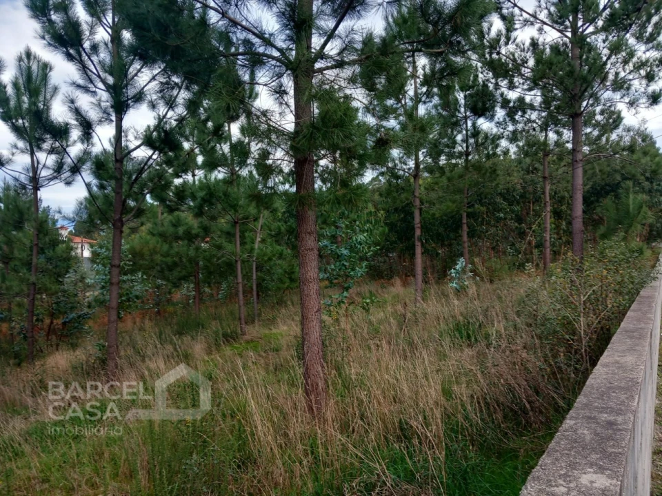 Terreno para Venda em Alvelos Foto 4