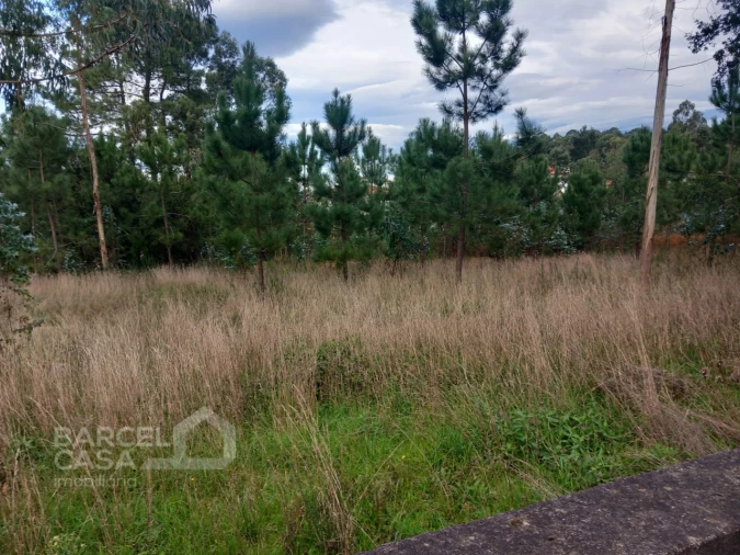 Terreno para Venda em Alvelos Foto 3