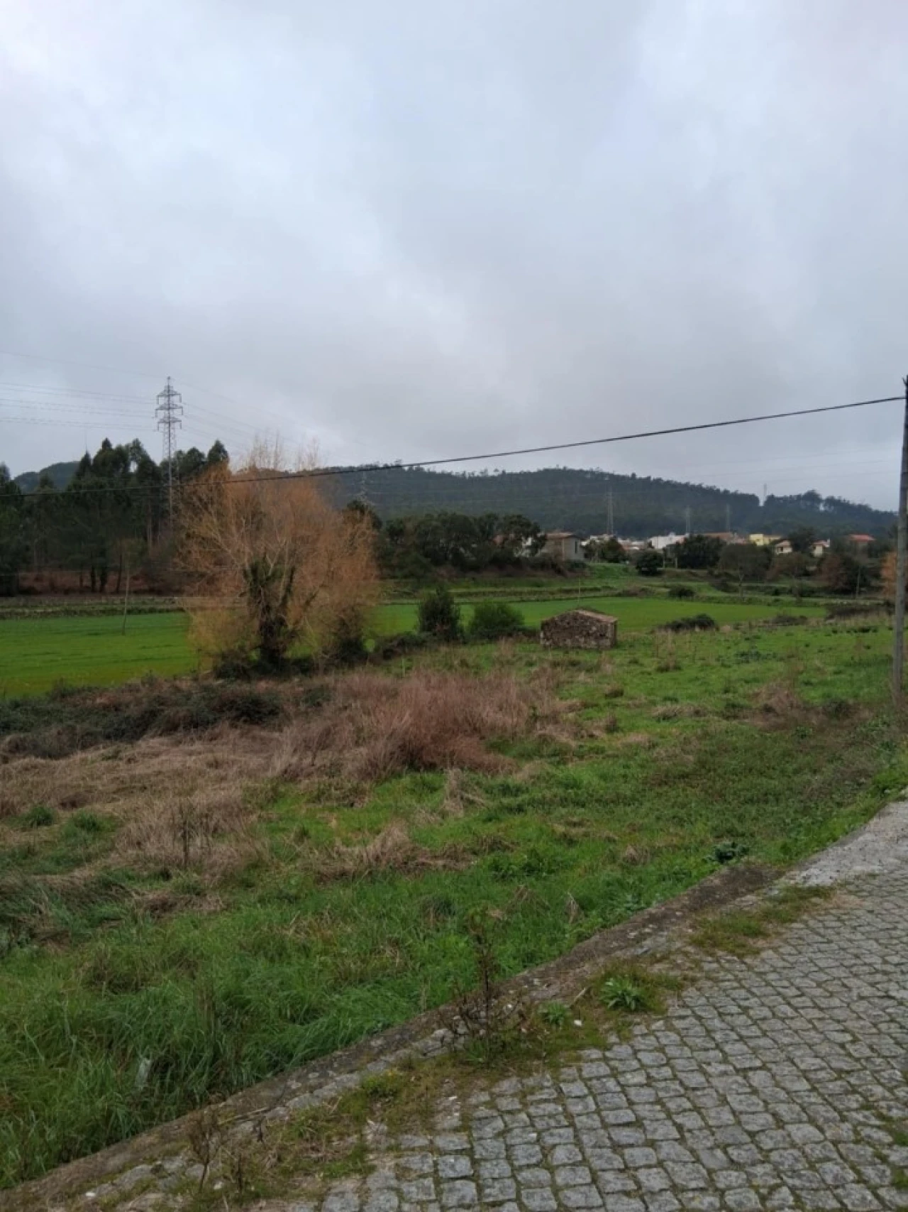 Terreno para Venda em Palmeira de Faro e Curvos Foto 2