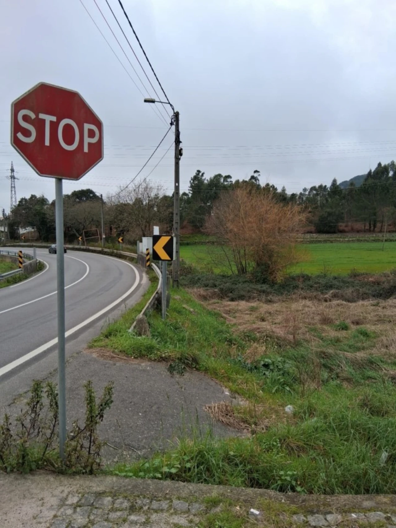 Terreno para Venda em Palmeira de Faro e Curvos Foto 3