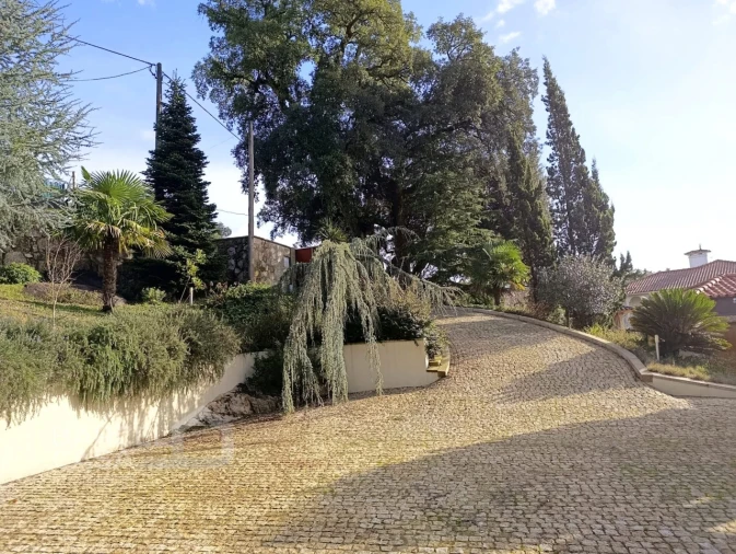 Moradia T4 para Venda em Airo Foto 46