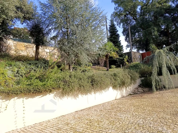 Moradia T4 para Venda em Airo Foto 44